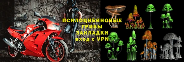 твердый Алзамай