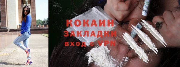 твердый Алзамай