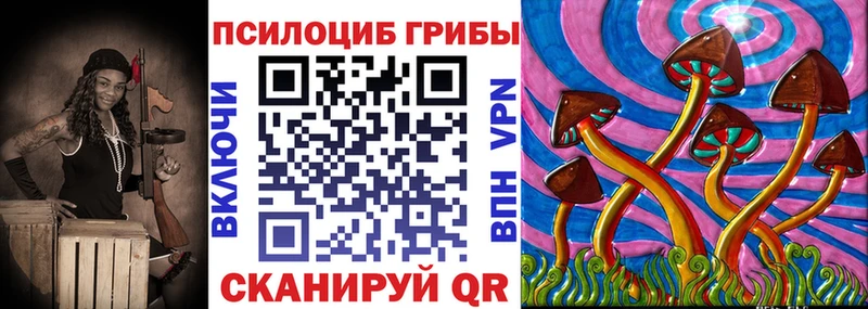 ОМГ ОМГ ссылки  Приморск  Галлюциногенные грибы Psilocybe 