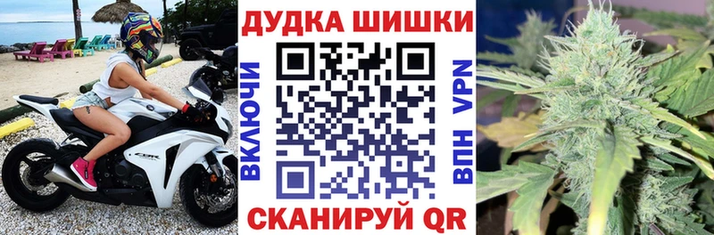 Шишки марихуана THC 21%  Приморск 